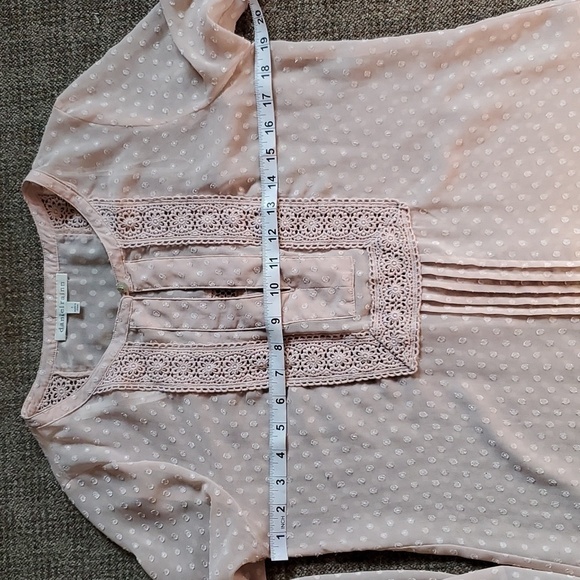 Daniel Rainn Dusty Rose Swiss Dot Crochet Bib Sheer Top Size Small - Picture 13 of 15
